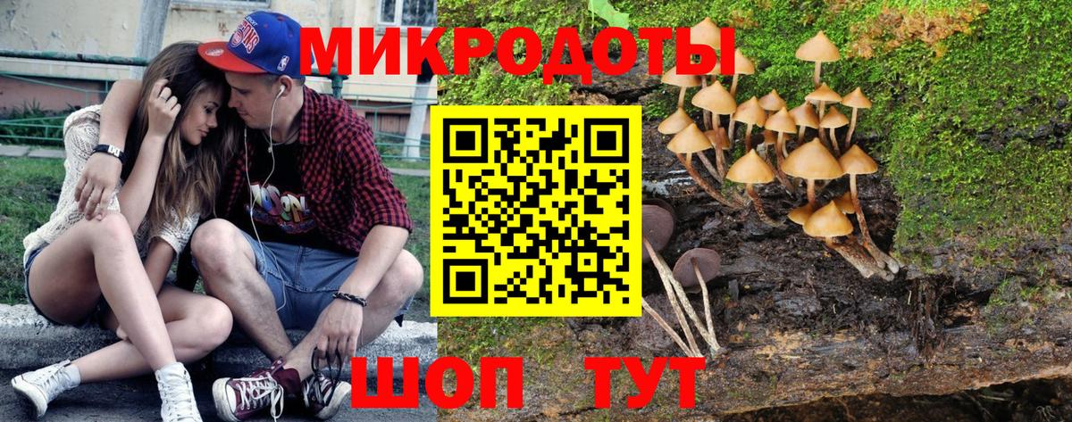 Псилоцибиновые грибы ЛСД Камышлов