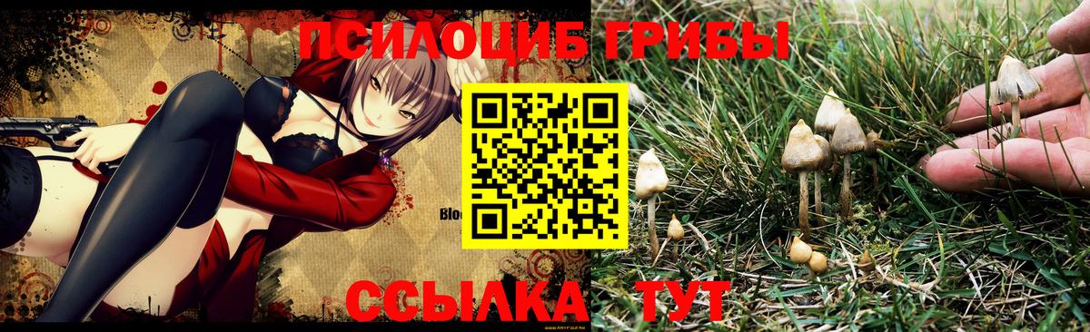 Камышлов  Псилоцибиновые грибы GOLDEN TEACHER  Вход с VPN 